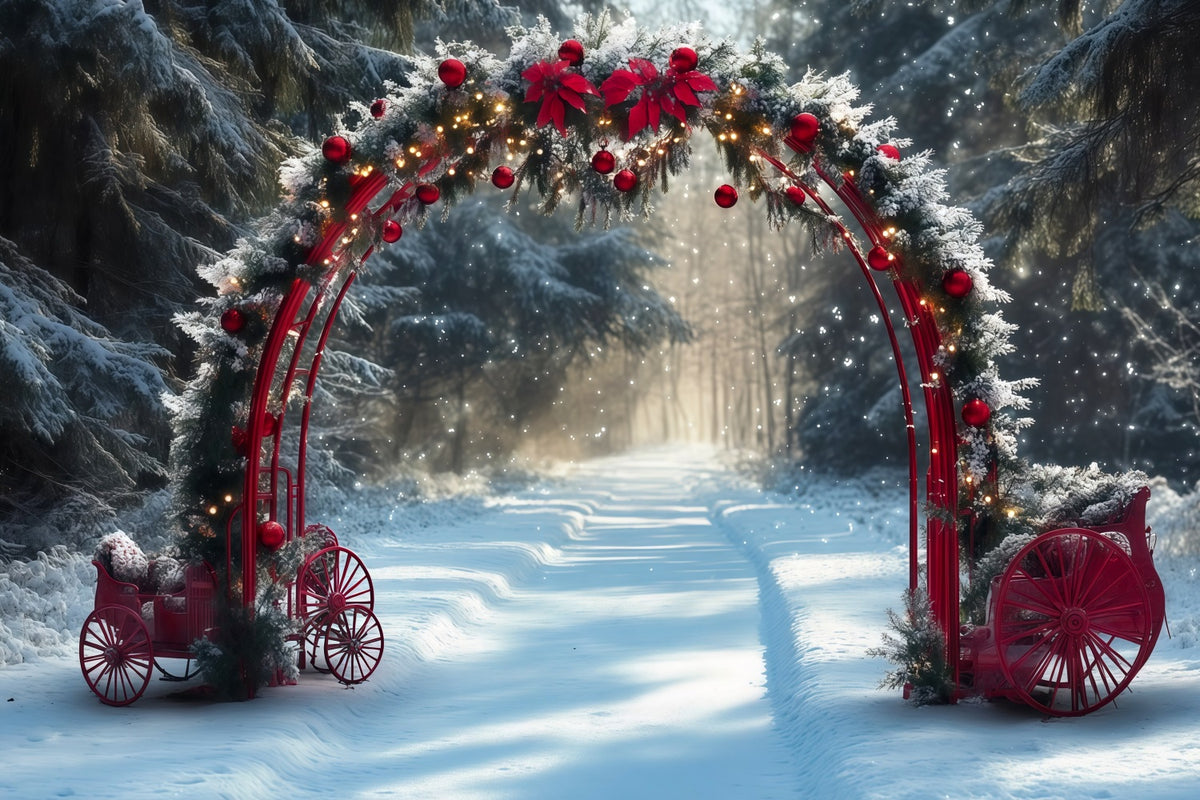 Snowy Christmas Backdrop Red Archway Snowy Carriages Christmas Studio Backdrop RR610-138