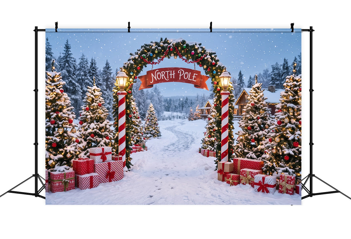 North Pole Photo Backdrop Snowy Village Gateway Professional Photography Christmas Backdrops RR610-141