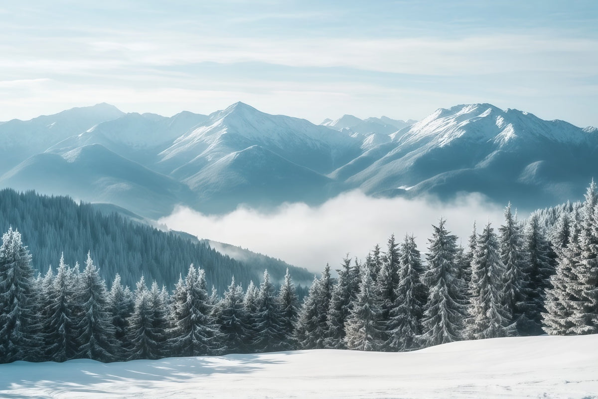 Christmas Winter Wonderland Backdrops Snowy Mountain Mist Forest Christmas Backdrop Scenes RR610-159