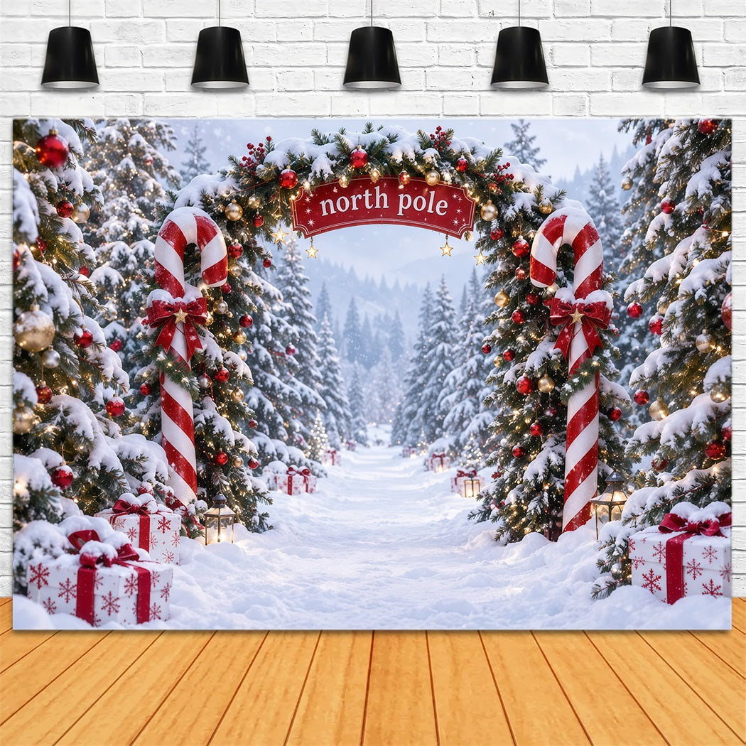 North Pole Photo Backdrop Candy Cane North Pole Christmas Winter Backdrop RR610-173