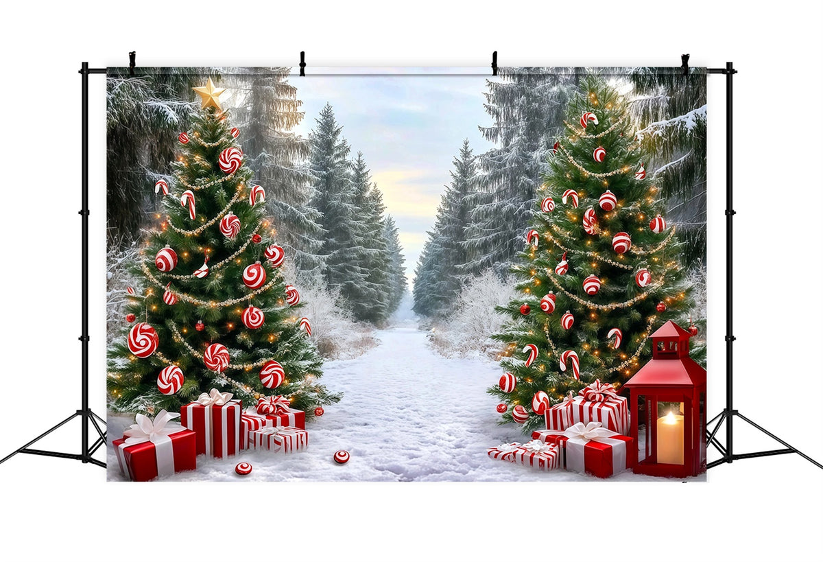 Classic Christmas Backdrop Candy Cane Forest Path Xmas Backdrop For Photos RR610-50