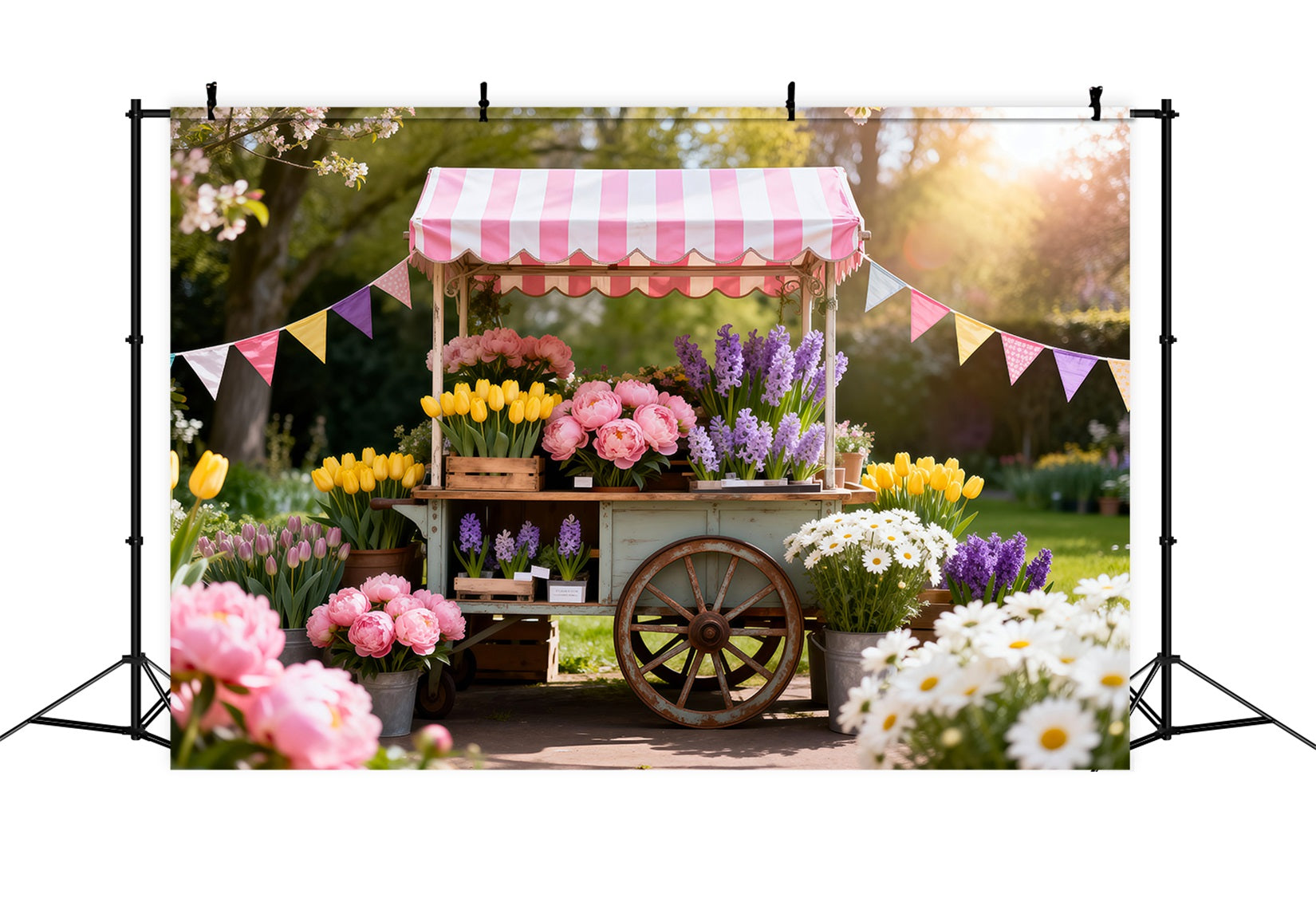 Daisy Flower Backdrop Spring Floral Market Cart Spring Photo Backdrop Ideas RR62-32
