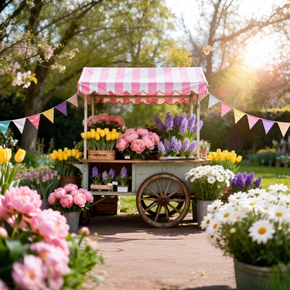 Daisy Flower Backdrop Spring Floral Market Cart Spring Photo Backdrop Ideas RR62-32