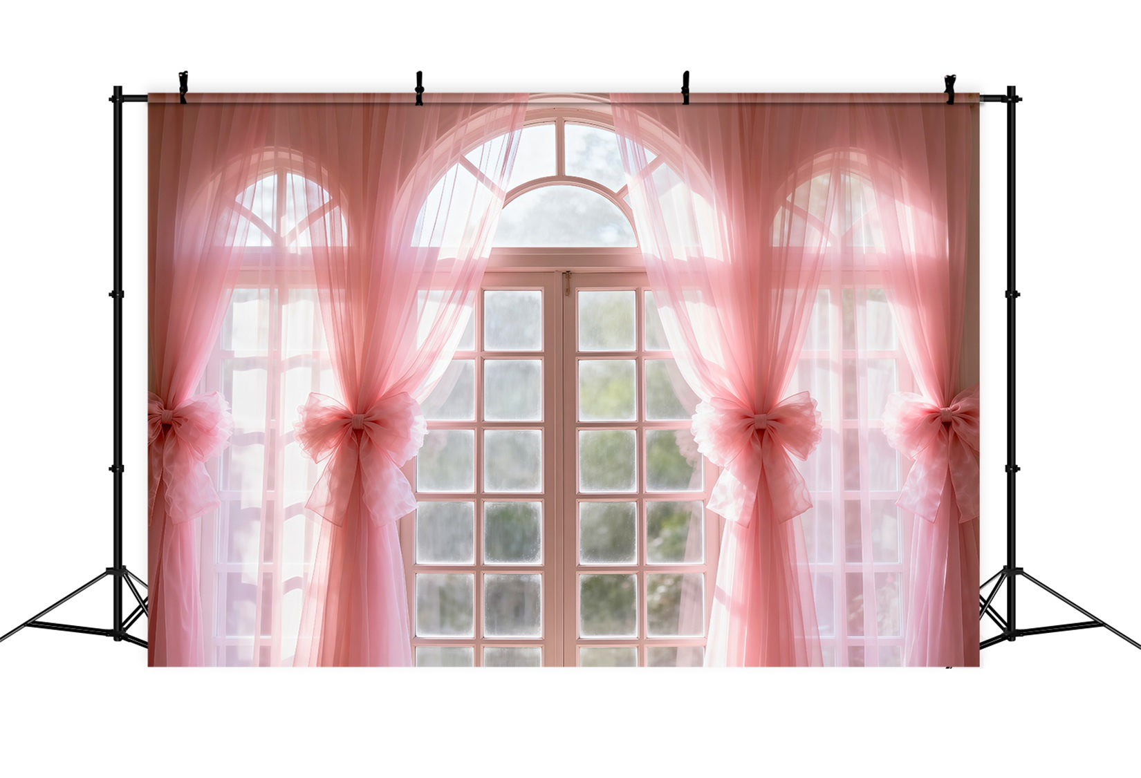 Boudoir Photo Backdrops Blush Sheer Bow Windowlight Backdrops for Boudoir RR62-80