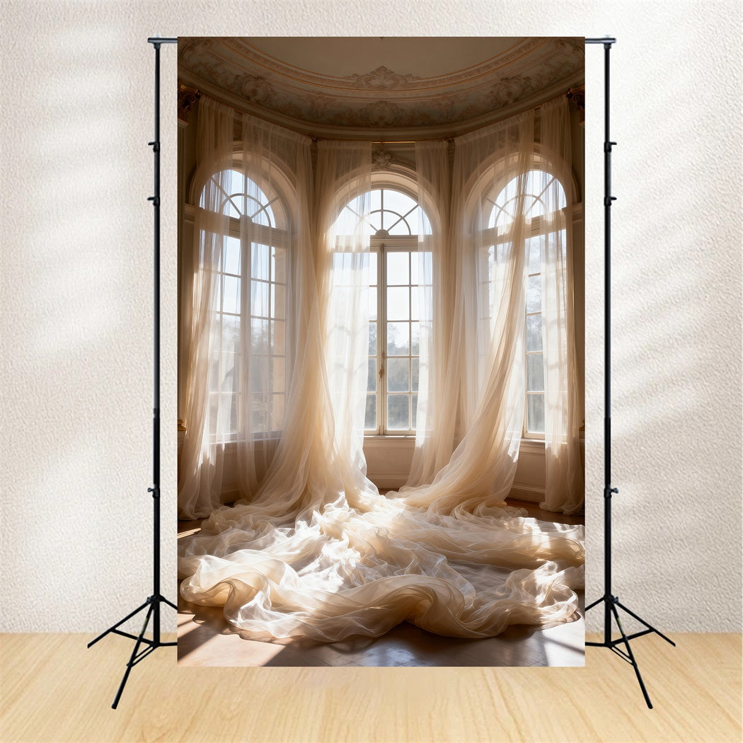 Backdrops For Boudoir Photography Sunlit Sheer Palace Windows Classic Backdrop RR62-95