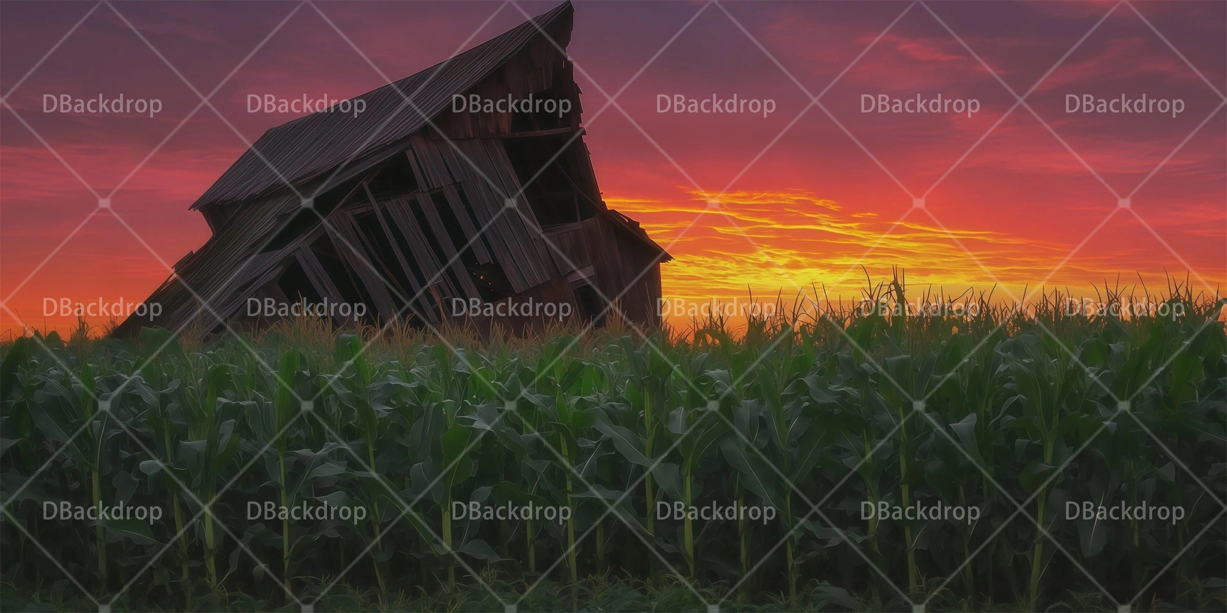 Stage Backdrops Damaged Rural Houses Performance Backdrops RR66-T104
