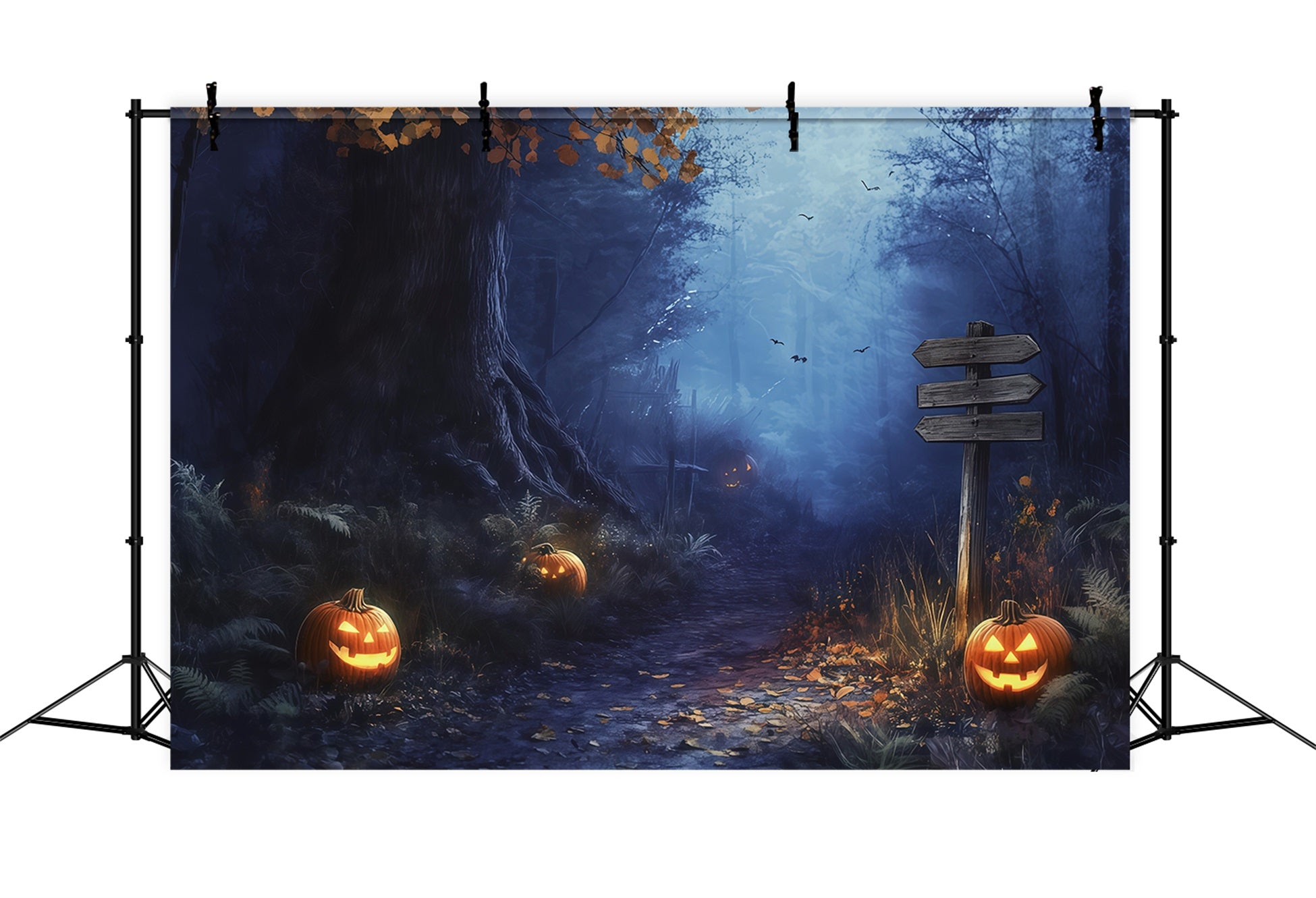 Fall Halloween Backdrop Foggy Forest Pumpkin Path Scary Halloween Backdrops RR67-67
