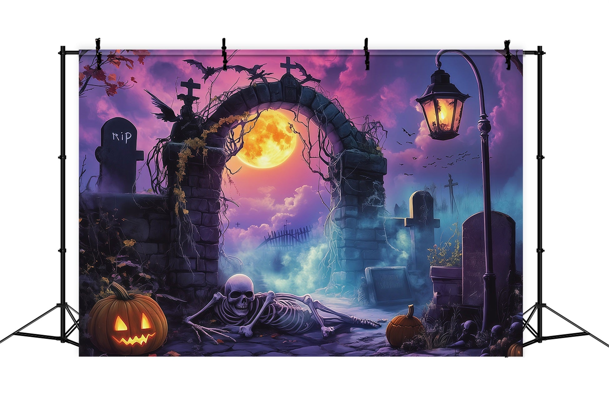Outdoor Halloween Backdrop Moonlit Graveyard Arch Skeleton Spooky Halloween Backdrop RR67-9