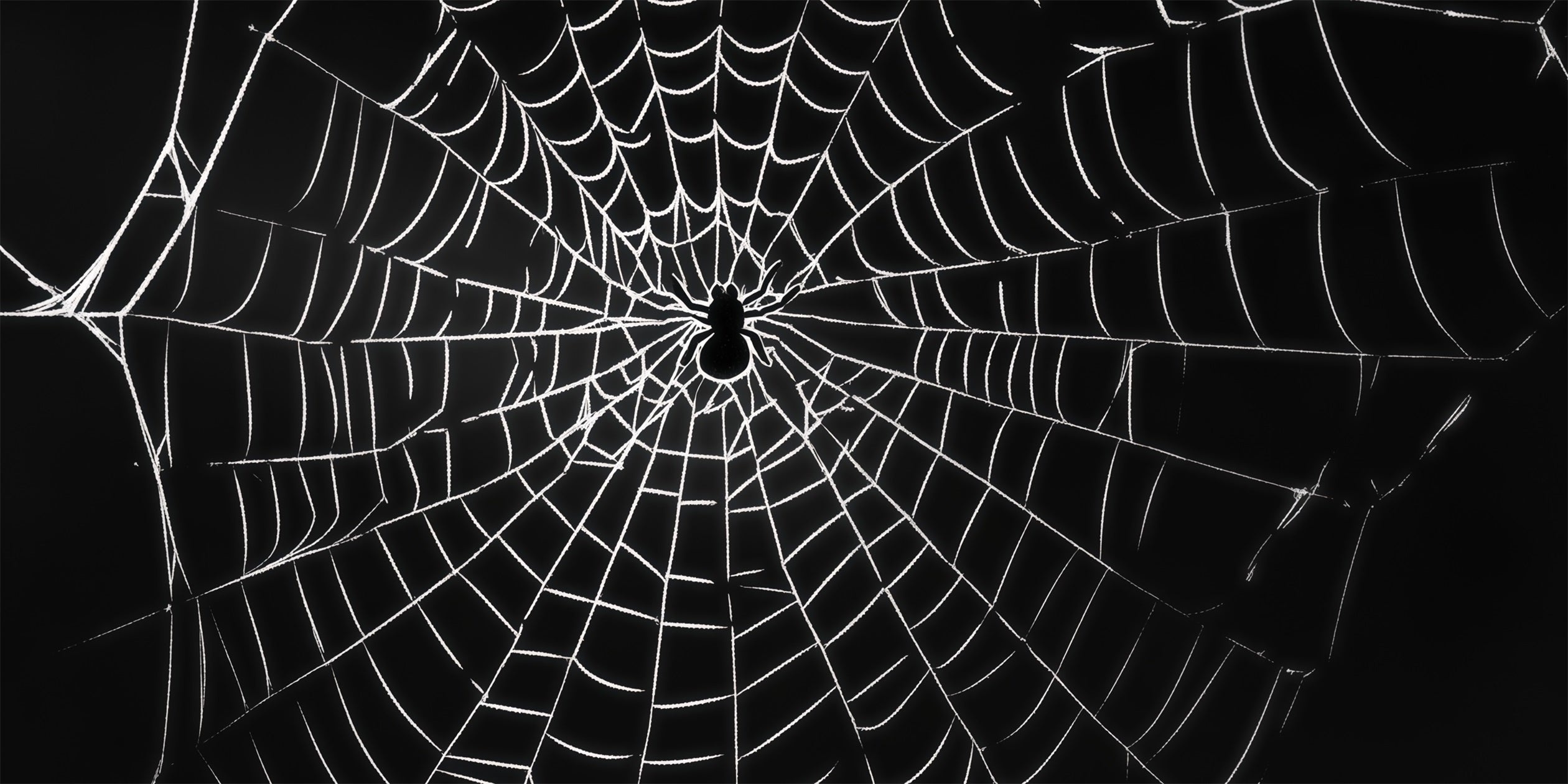 Spider Web Garage Door Cover Giant Spider Web Silhouette Halloween Garage Decorations RR68-27-2 car