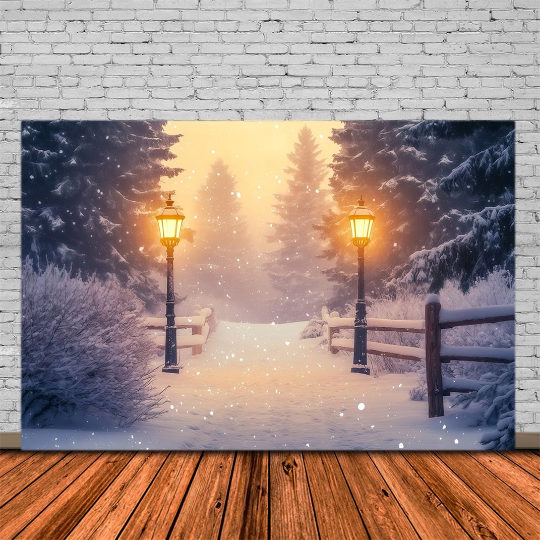 Snowy Christmas Backdrop Wonderland Forest Lantern Path Christmas Studio Backdrops RR68-85