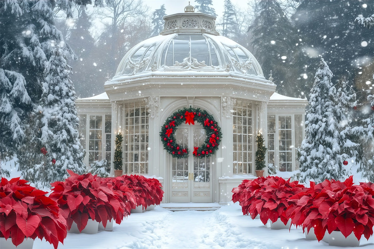 Snowy Christmas Backdrop Conservatory Poinsettia Garden Photography Christmas Backdrop RR69-12