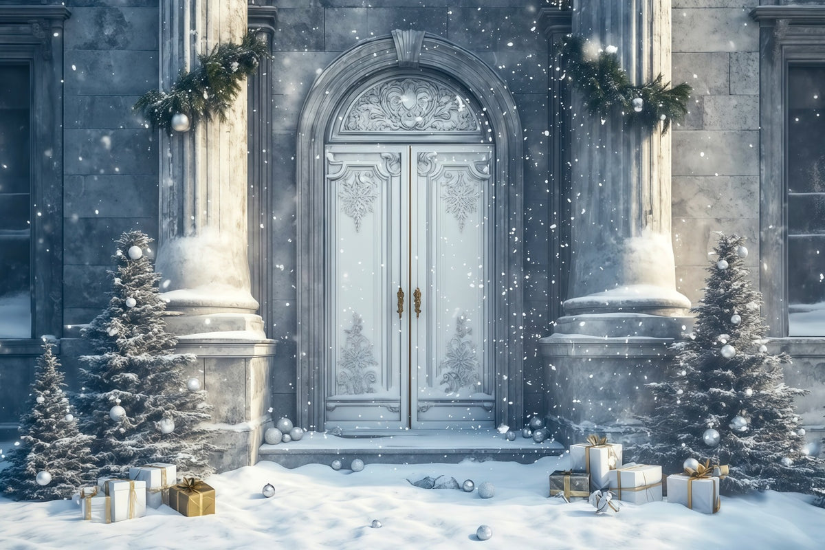 Christmas House Backdrop Snowy Palace Entrance Photo Christmas Backdrop RR69-57