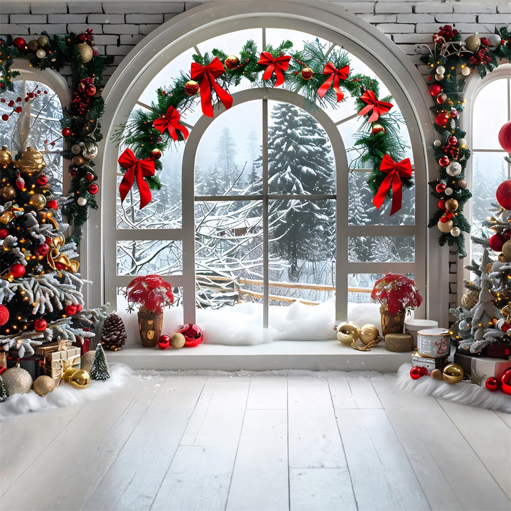 Christmas Arched Window Snowy Landscape Backdrop RR7-696
