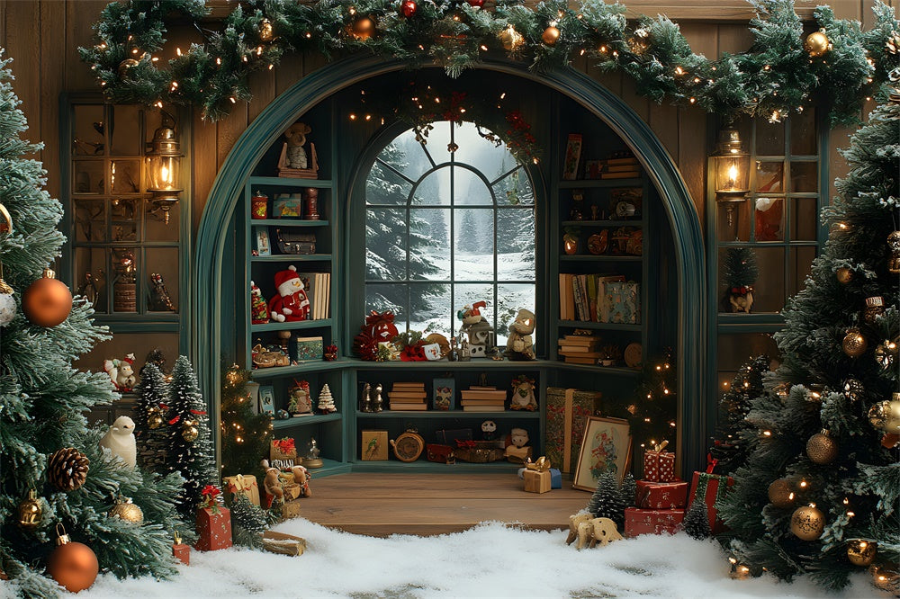 Christmas Toy Room Window Snow Backdrop RR8-108
