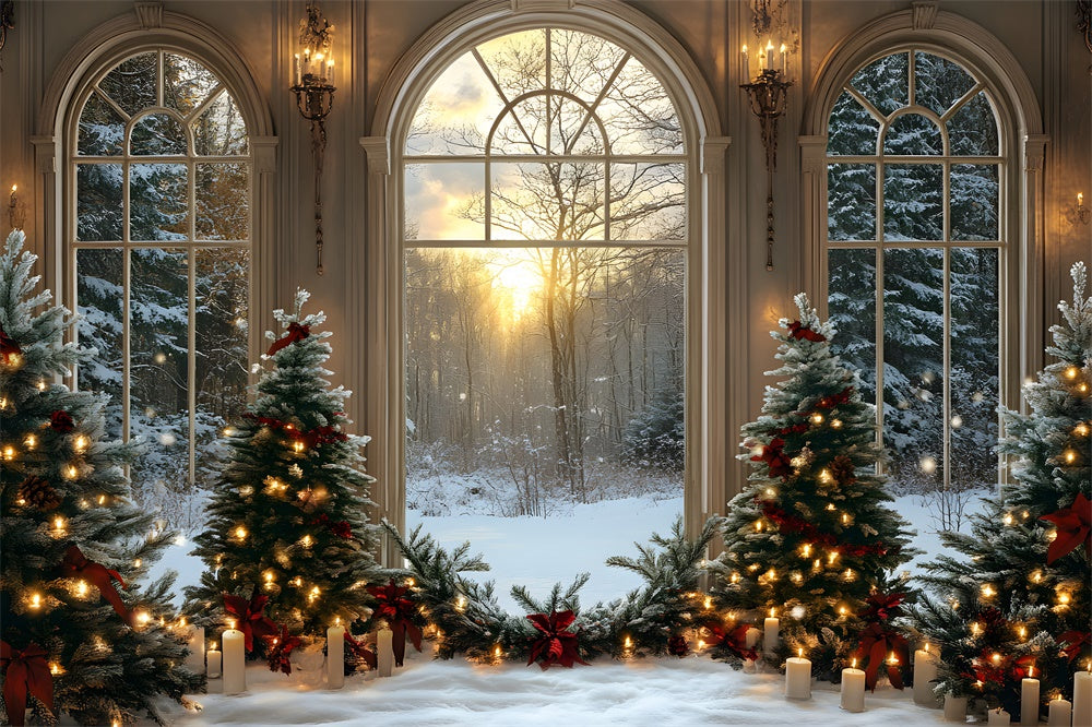 Christmas Trees Candles Window Snow Backdrop RR8-89