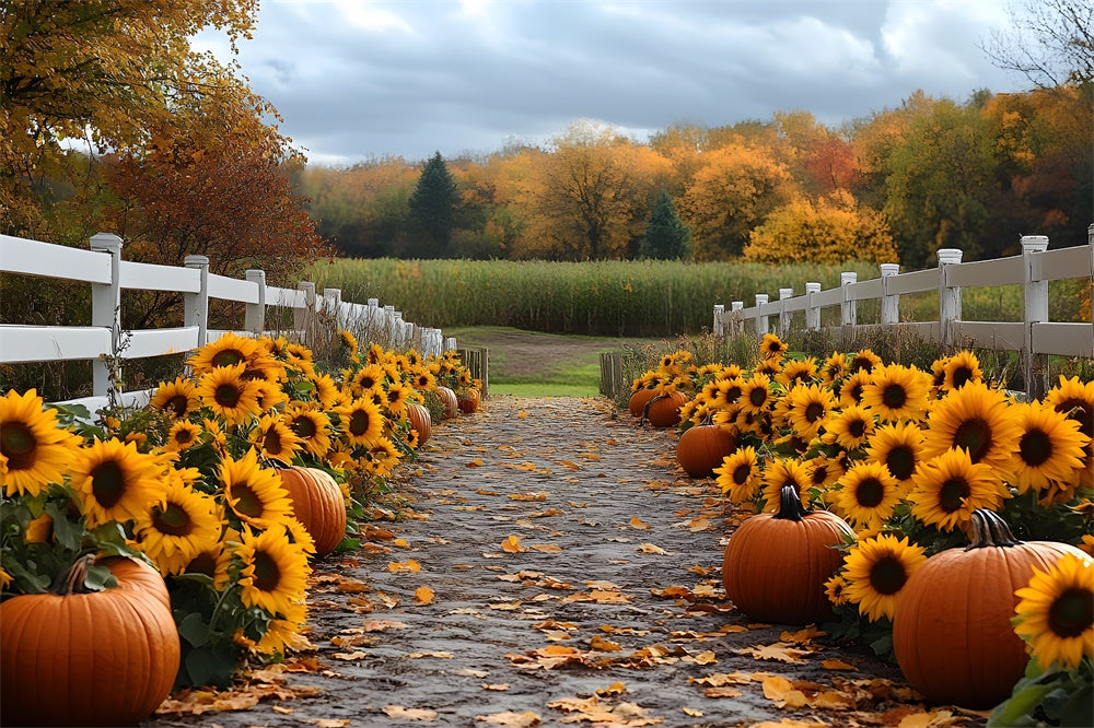 Fall Sunflower Pumpkin Trail Forest Backdrop RR9 38