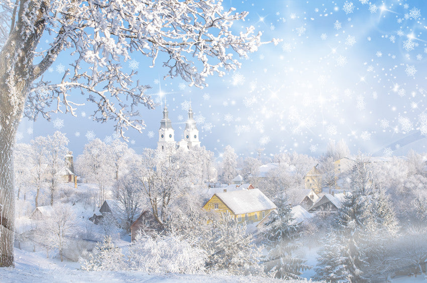 Winter Snow Forest Sunshine Village Backdrop for Photography ST-485