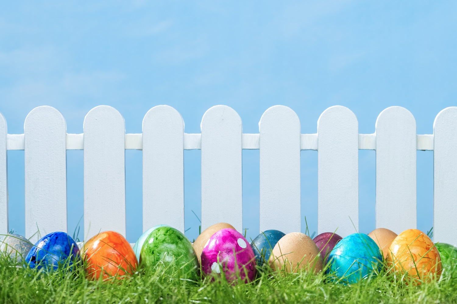 Easter Backdrop Photography White Fence Colorful Egg Backdrop TWW3-28