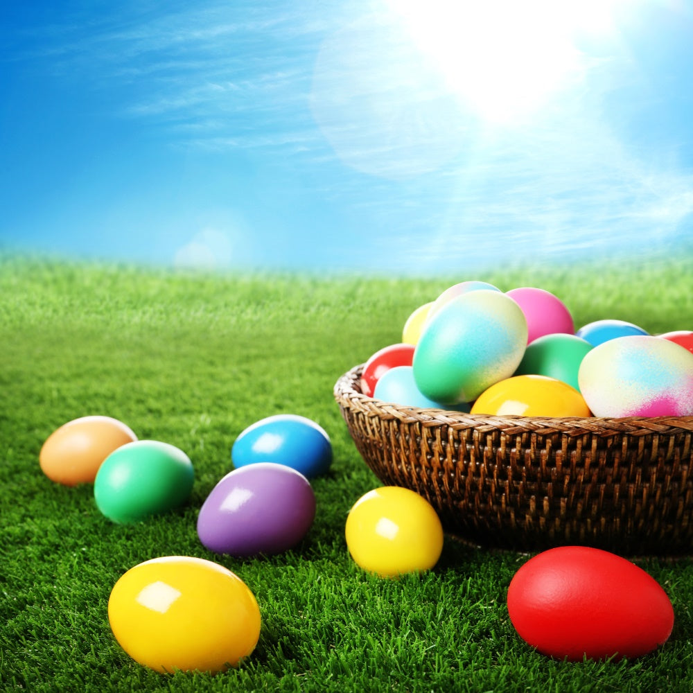 Easter Photo Backdrop Ideas Colorful Egg Basket Meadow Backdrop TWW3-29
