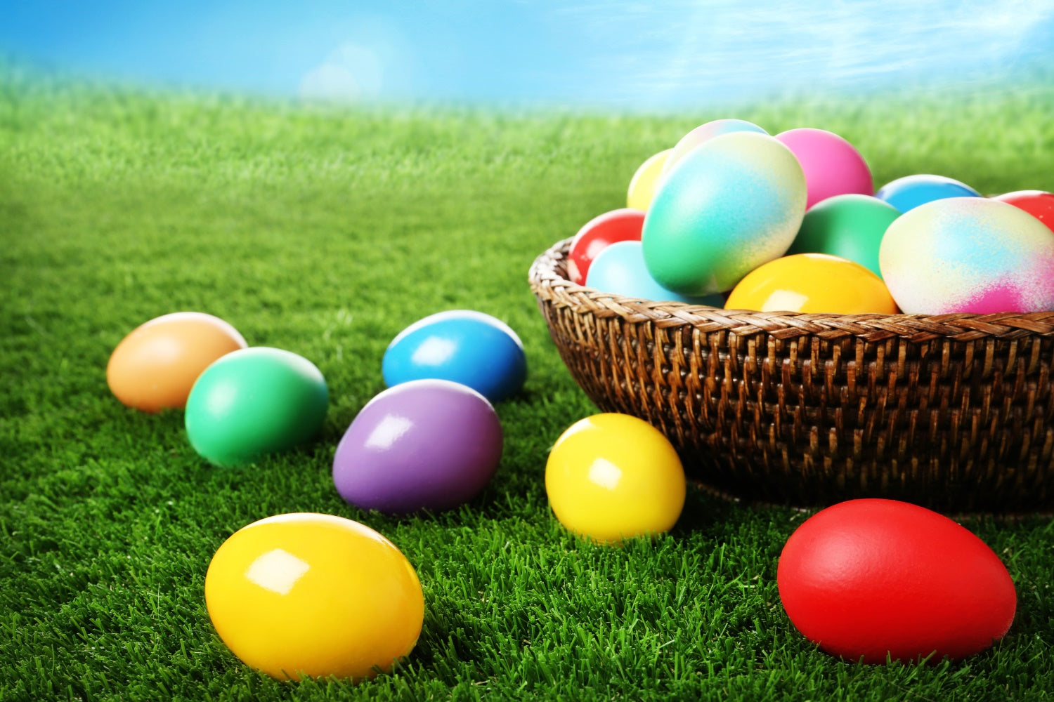 Easter Photo Backdrop Ideas Colorful Egg Basket Meadow Backdrop TWW3-29