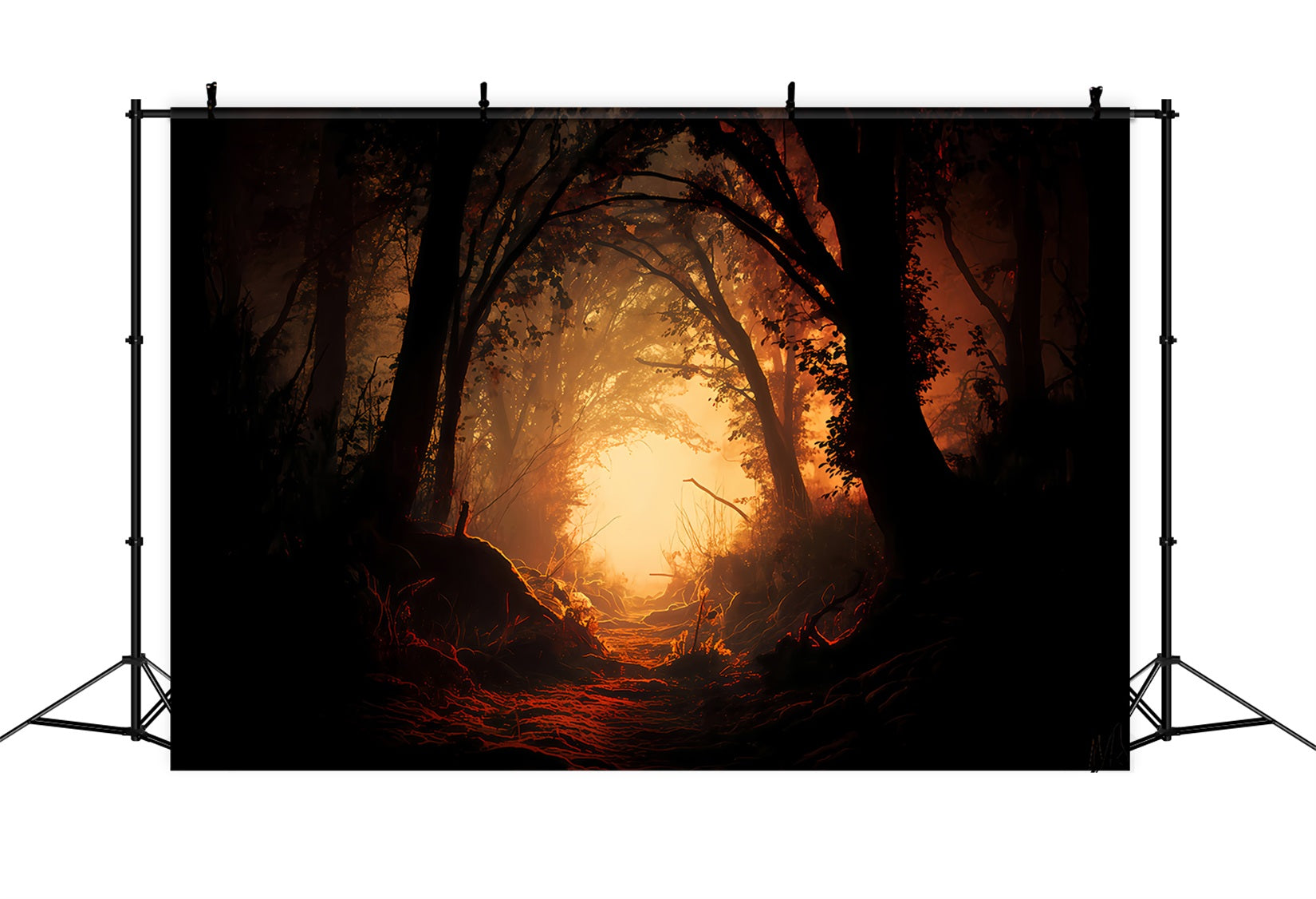 Haunted Forest Backdrop Enchanted Forest Fiery Path Halloween Photography Backdrop TWW510-29