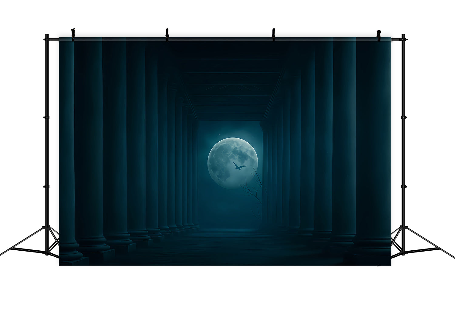 Halloween Moon Backdrop Moonlit Pillars Dark Corridor Halloween Backdrop TWW510-31