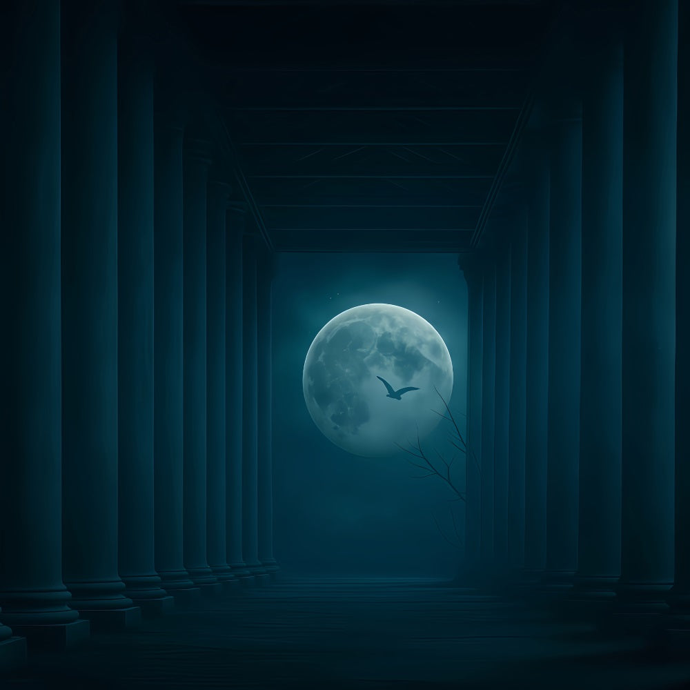 Halloween Moon Backdrop Moonlit Pillars Dark Corridor Halloween Backdrop TWW510-31