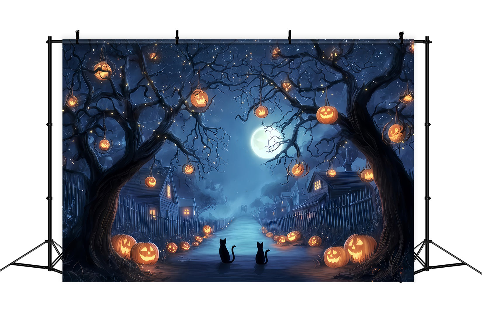 Halloween Color Backdrop Pumpkin Lane Midnight Cats Spooky Halloween Backdrop TWW510-38