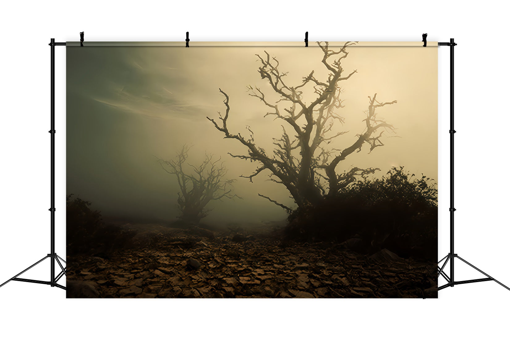 Haunted Forest Backdrop Foggy Dead Tree Field Halloween Backdrop TWW510-41