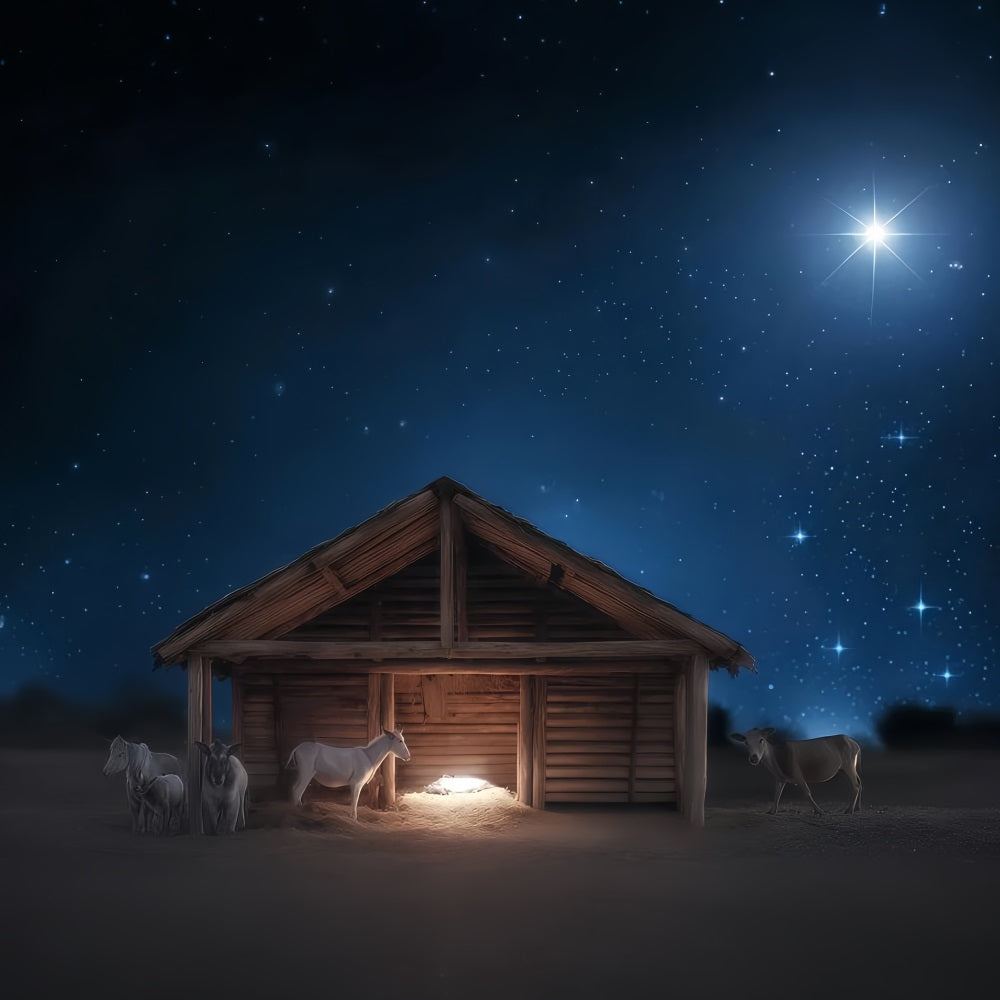 Nativity Backdrop Silent Night Manger Glow Christmas Backdrop Ideas TWW510-77