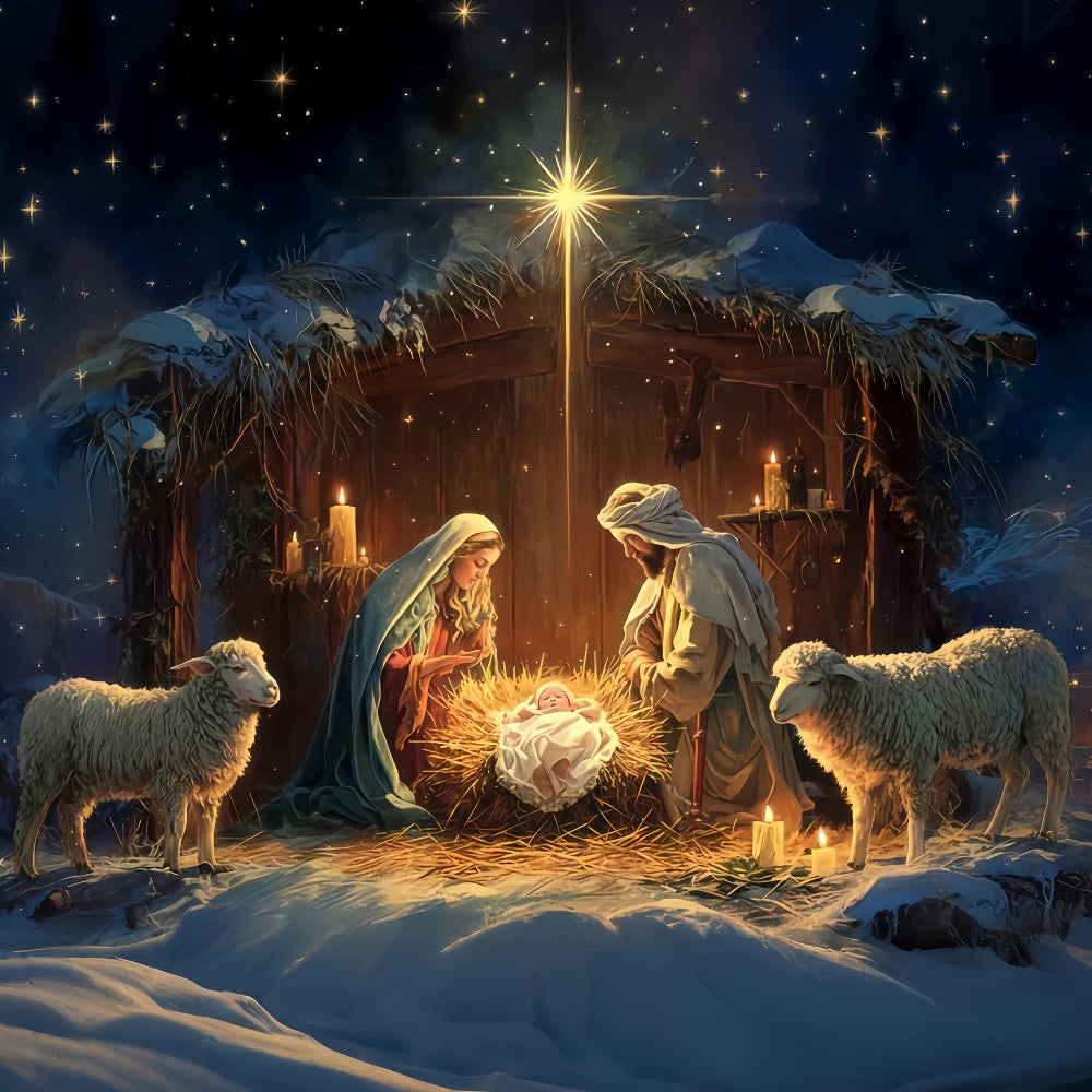 Nativity Backdrop Holy Family Manger Night Christmas Backdrops TWW510-81