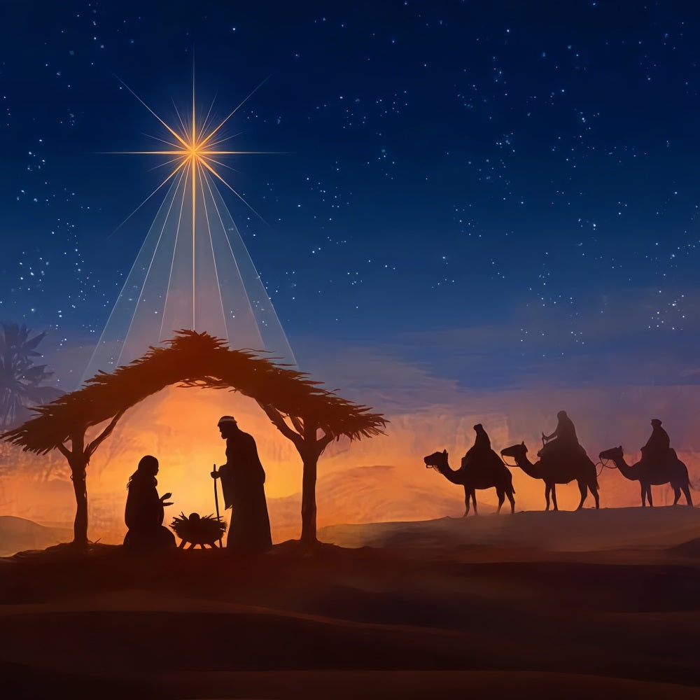 Nativity Backdrop Bethlehem Star Night Journey Christmas Backdrop TWW510-88