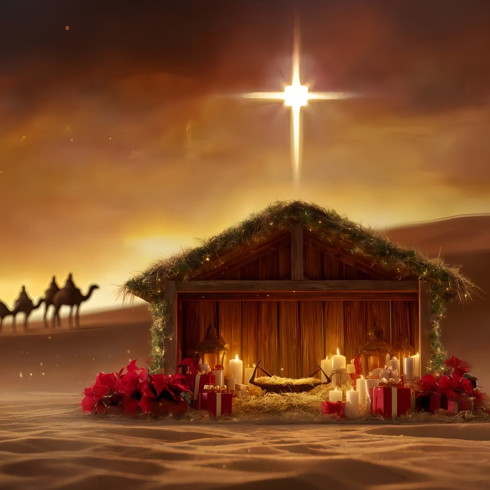 Nativity Backdrop Manger Star Desert Glow Christmas Photo Backdrops TWW510-91