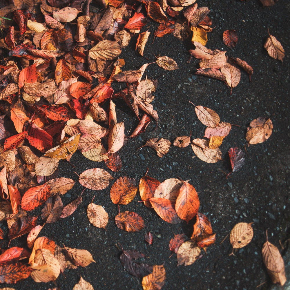 Photography Floor Backdrops Rustic Leaf Floor Backdrop TWW57-13