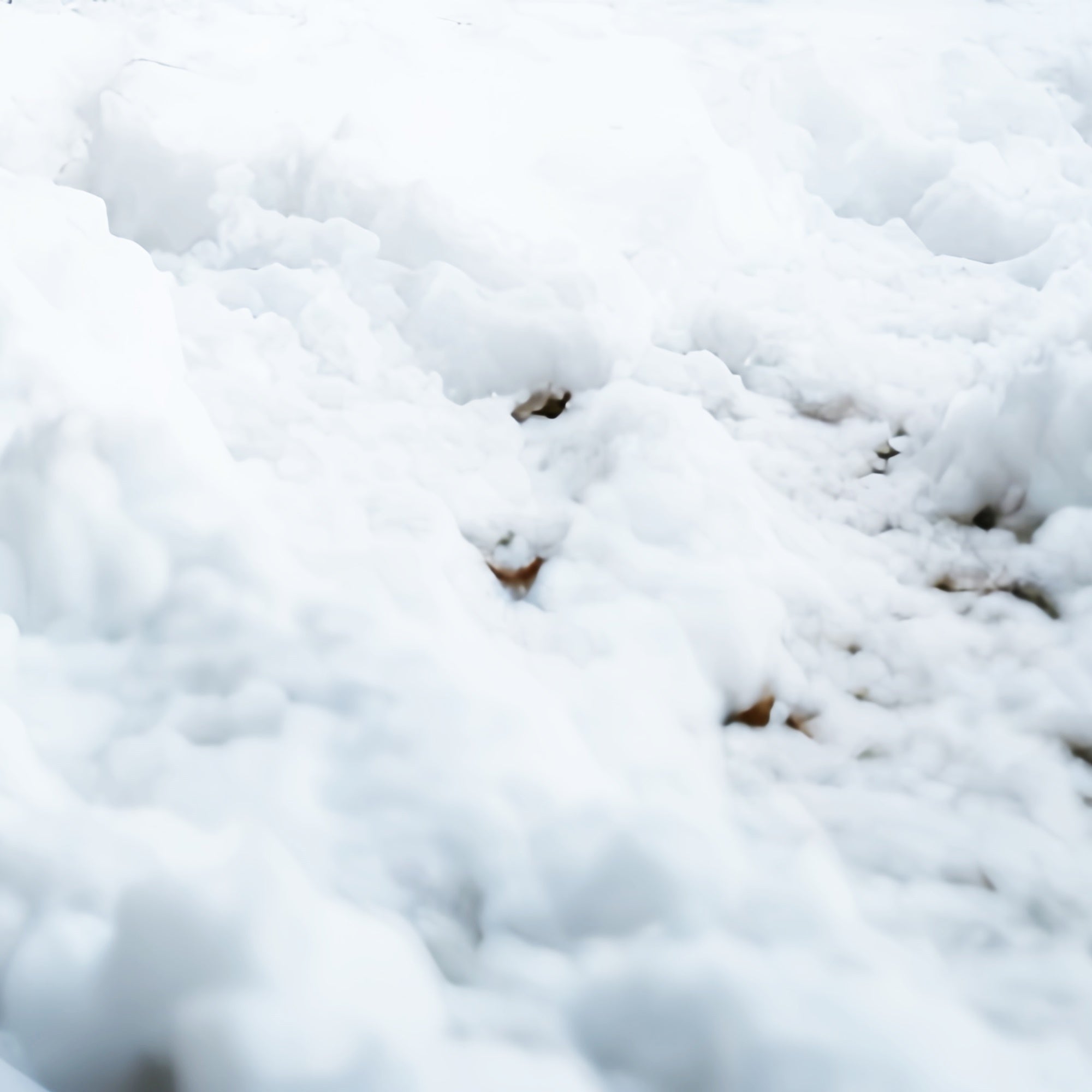 Snow Floor Backdrop Pure White Winter Floor Backdrop TWW57-32