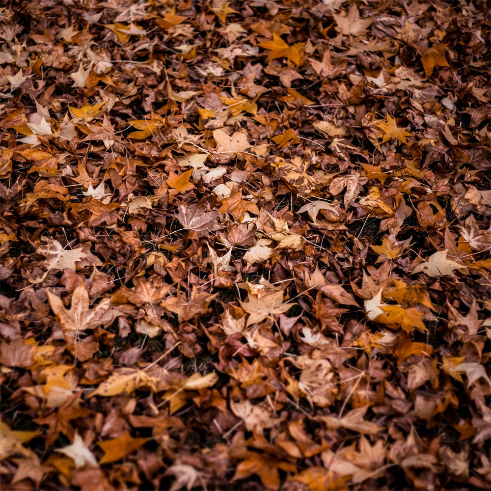 Photography Floor Backdrop Autumn Leaves Floor Backdrop TWW57-9