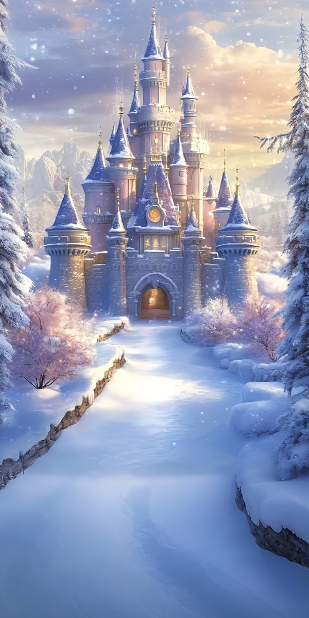 Winter Photo Backdrop Royal Winter Castle Sweep Backdrop TWW57-98