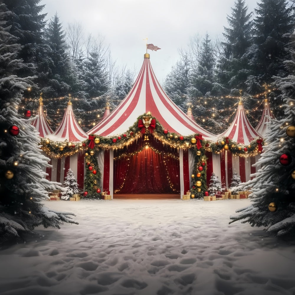 Carnival Tent Backdrop Christmas Garland Festive Tent Photography Circus Backdrop TWW59-14