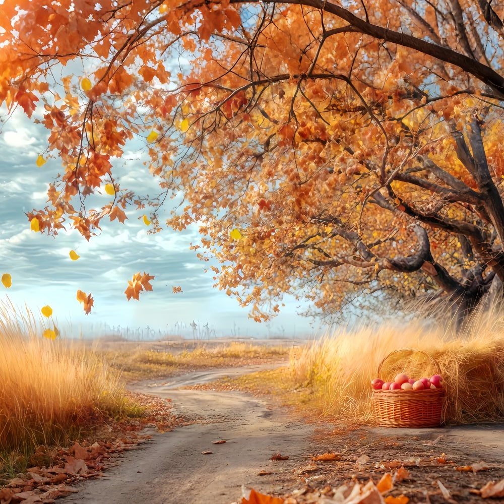 Fall Forest Backdrop Rustic Orchard Autumn Path Forest Backdrop TWW59-150
