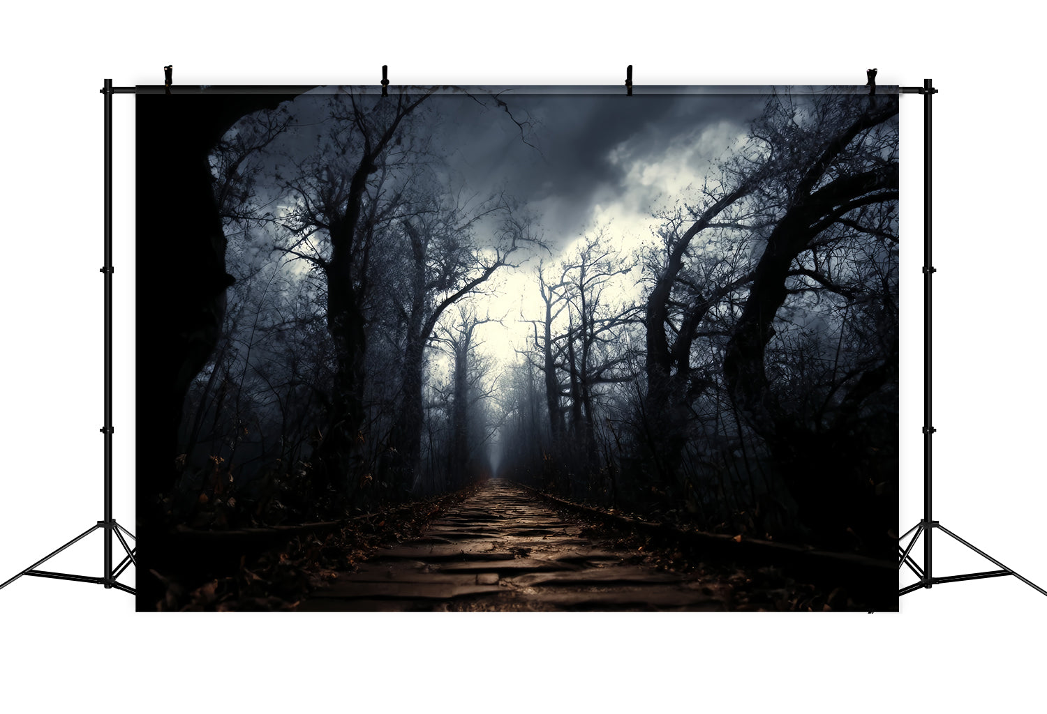 Spooky Forest Backdrop Dark Haunted Pathway Mist Dark Forest Backdrop TWW59-159