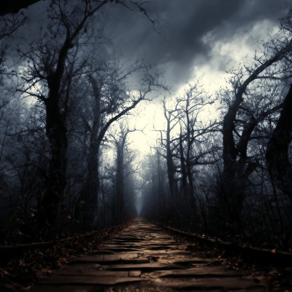 Spooky Forest Backdrop Dark Haunted Pathway Mist Dark Forest Backdrop TWW59-159