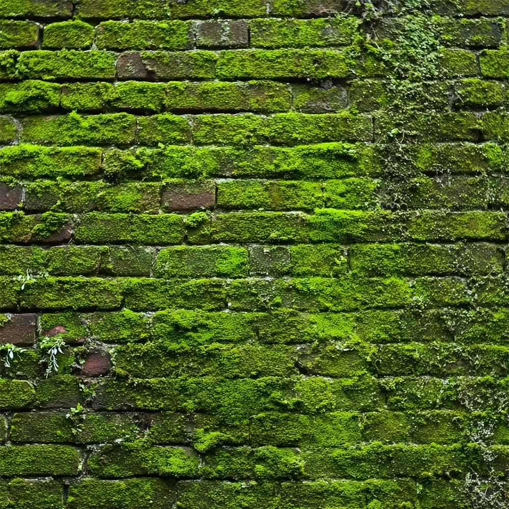 Brick Wall Backdrops Green Moss Vintage Wall Brick Photo Backdrop TWW59-185