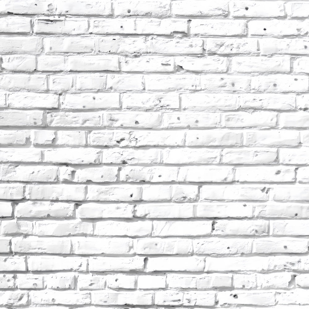 White Brick Backdrop Whitewashed Distressed Texture Brick Wall Backdrop TWW59-188