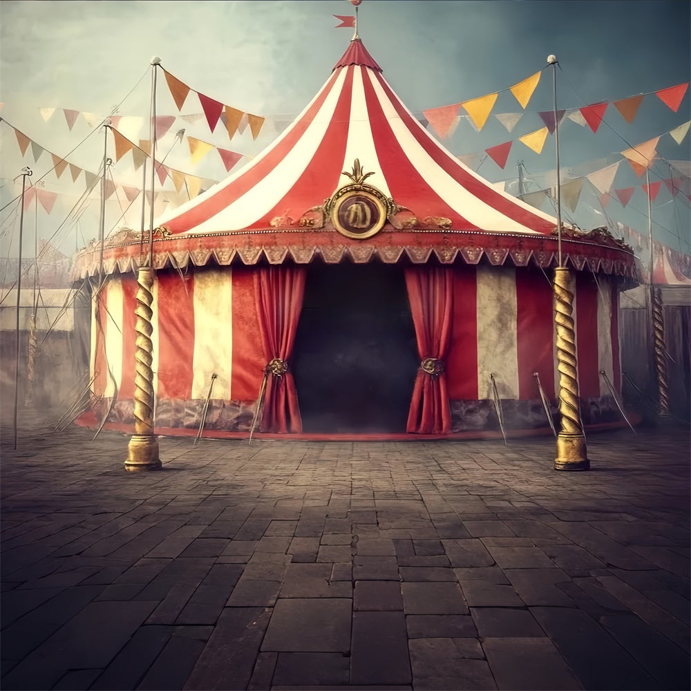 Carnival Tent Backdrop Vintage Striped Tent Circus Carnival Backdrop TWW59-2