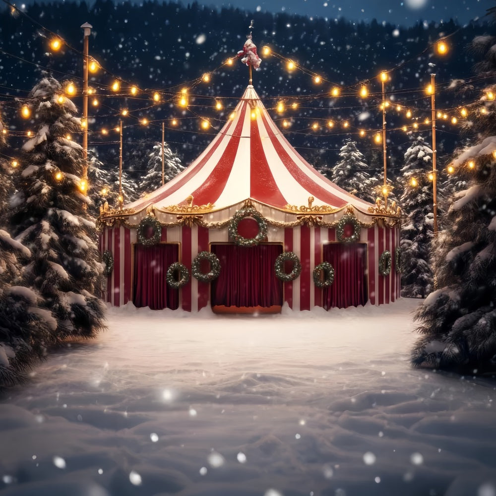 Carnival Tent Backdrop Snowy Wreath Christmas Tent Circus Backdrop Ideas TWW59-20