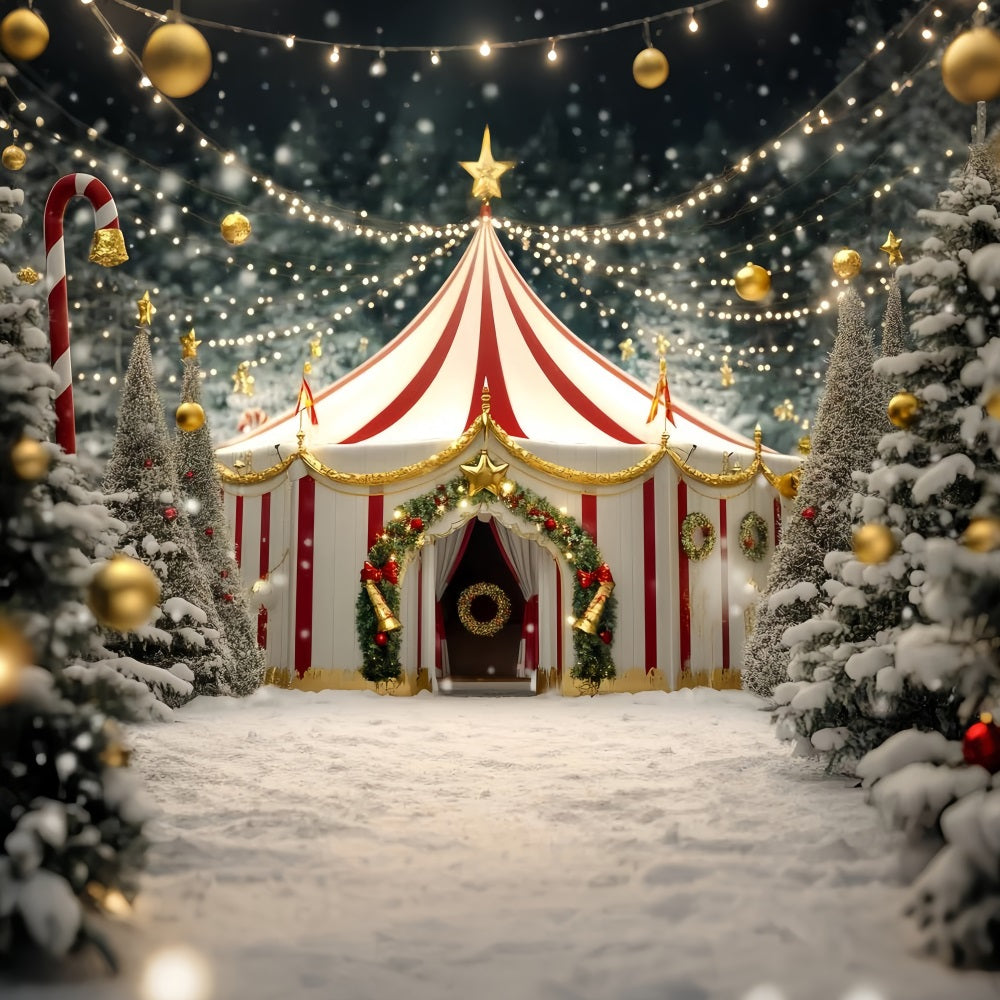 Christmas Circus Backdrop Golden Star Festive Tent Circus Carnival Backdrop TWW59-32