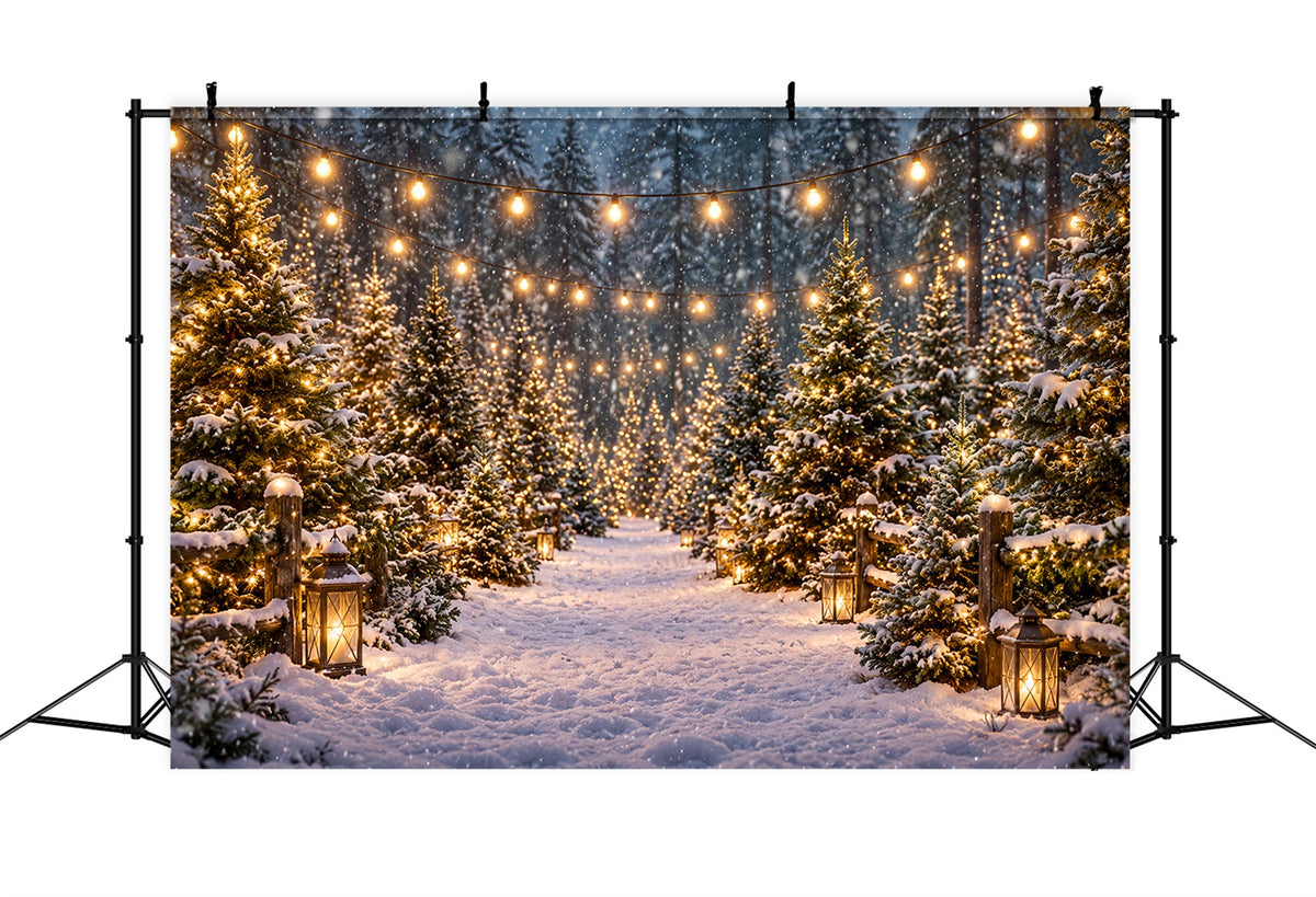 Christmas Tree Farm Backdrop Snowy Lantern Forest Path Christmas Tree Backdrops ZTT610-16