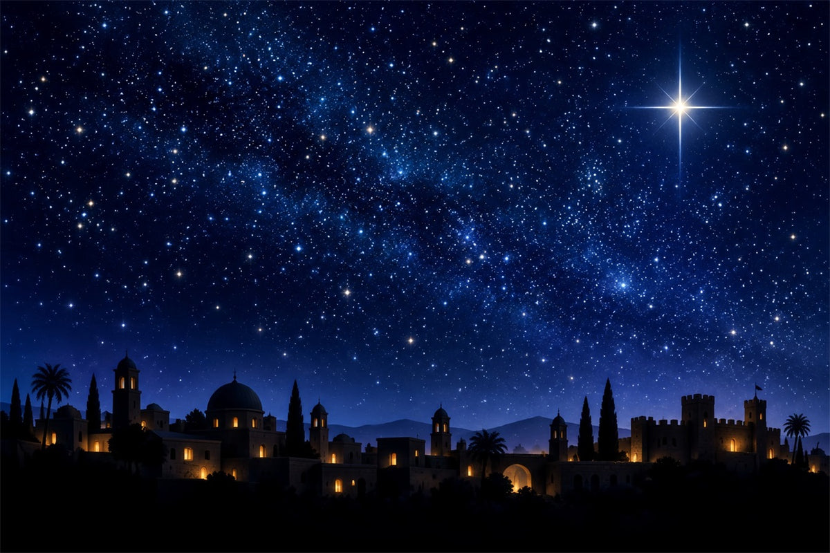 Nativity Scene Backdrop Nativity Stable Snowy Village Christmas Photo Backdrop Ideas ZTT610-38