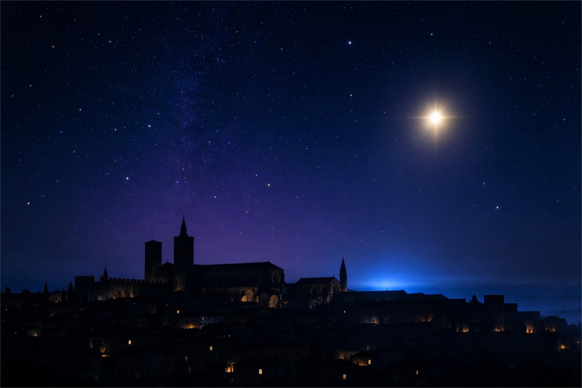 Nativity Scene Backdrop Starry Bethlehem Village Skyline Christmas Photo Backdrop Ideas ZTT610-8