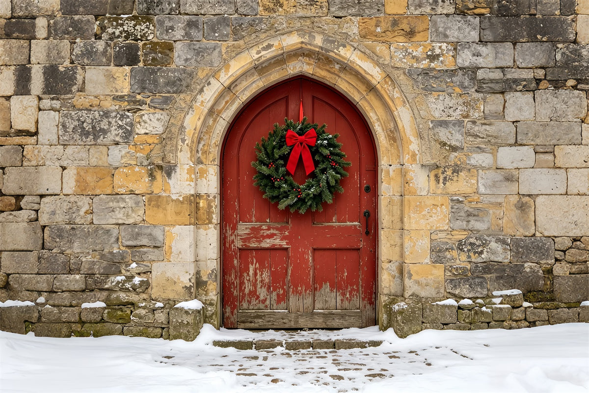 Church Christmas Backdrop Rustic Stone Arch Door Photographic Backdrops Christmas ZTT69-10